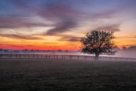 Inner Dawn Counselling-Boundaries