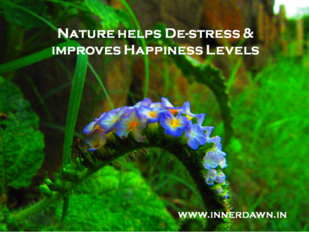 5 ways that Nature helps de-stress and improves happiness levels